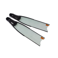 Flippers Transparent PNG Image