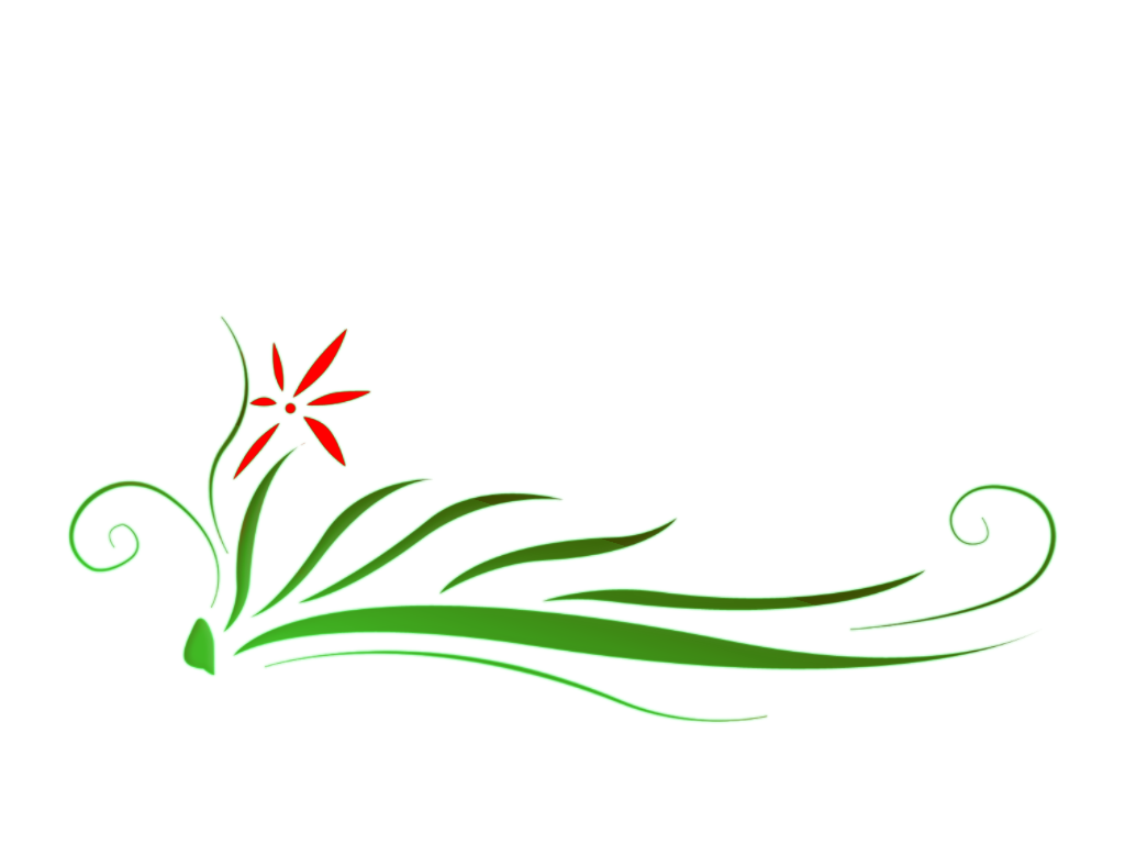 Floral Hd PNG Image