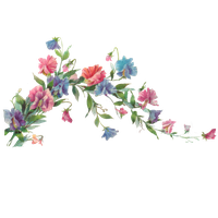 Floral Transparent PNG Image