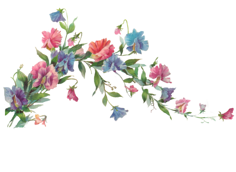 Download Floral Transparent HQ PNG Image | FreePNGImg