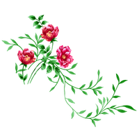 Floral Image PNG Image