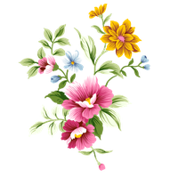 Free download, HD PNG floral graphic PNG transparent with Clear Background  ID 193408