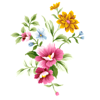 Download Floral Free PNG photo images and clipart | FreePNGImg