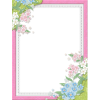 Floral frame PNG