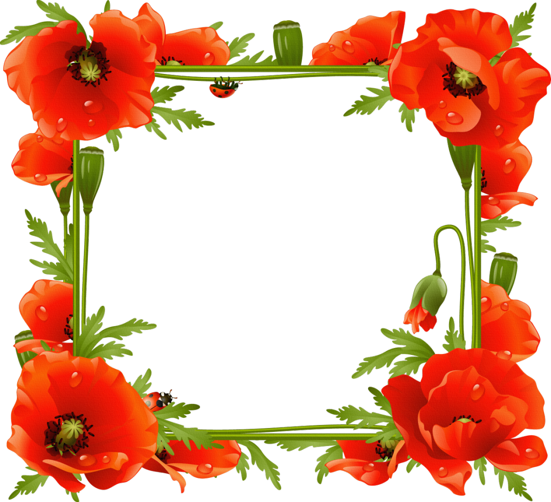 Floral frame Transparent PNG Image
