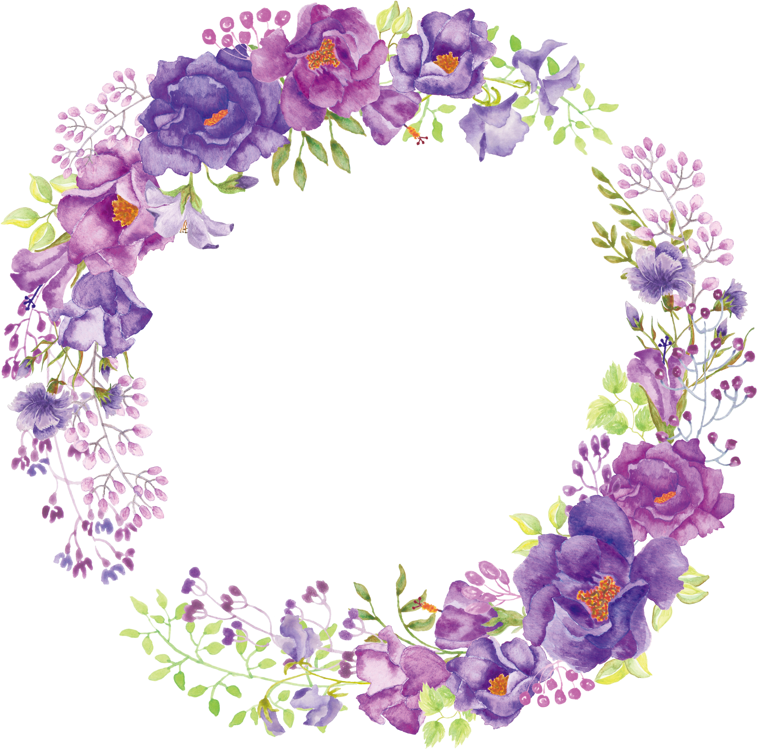 Floral frame Transparent PNG Image