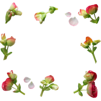 Floral frame PNG