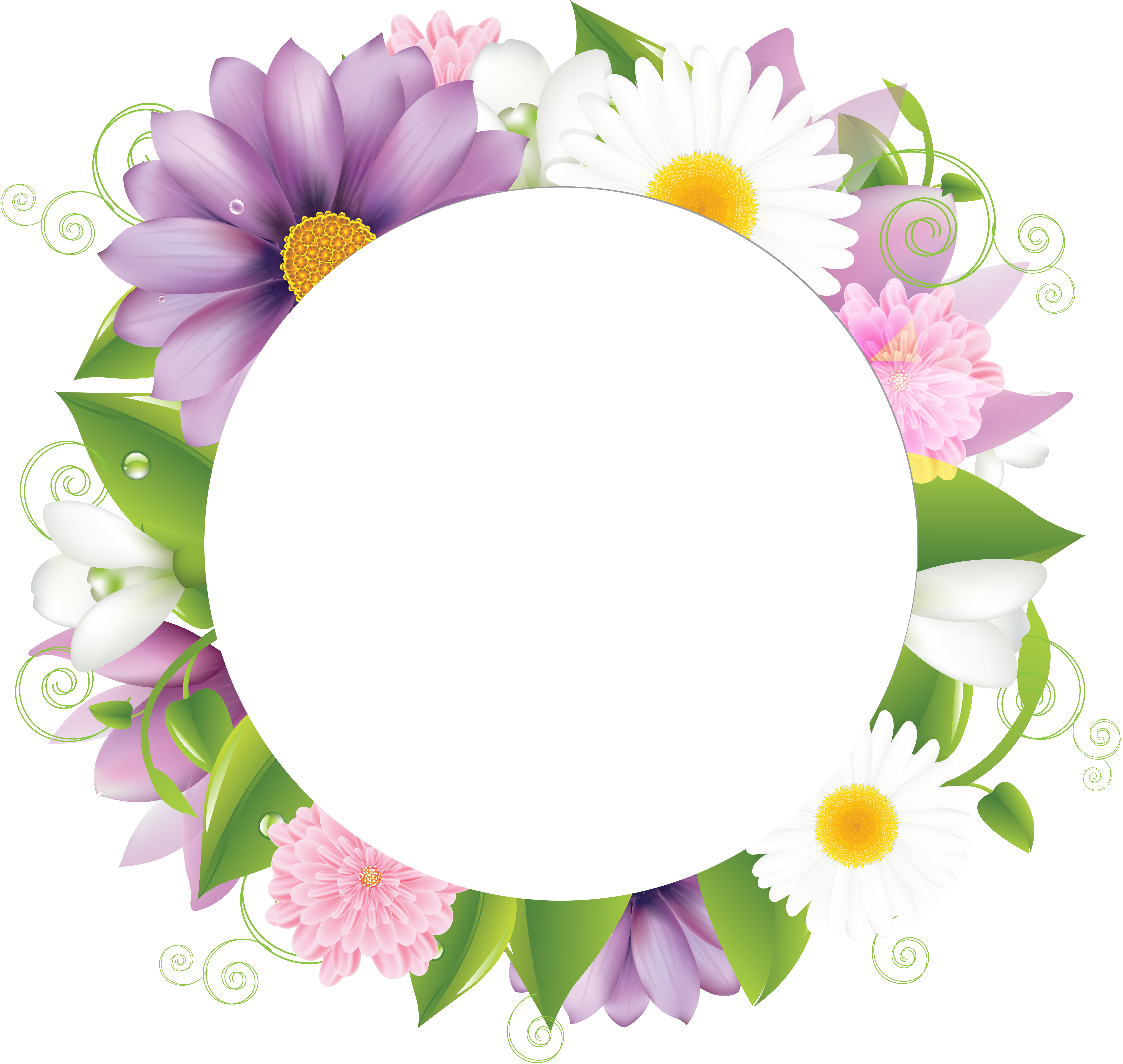 Floral frame Transparent PNG Image