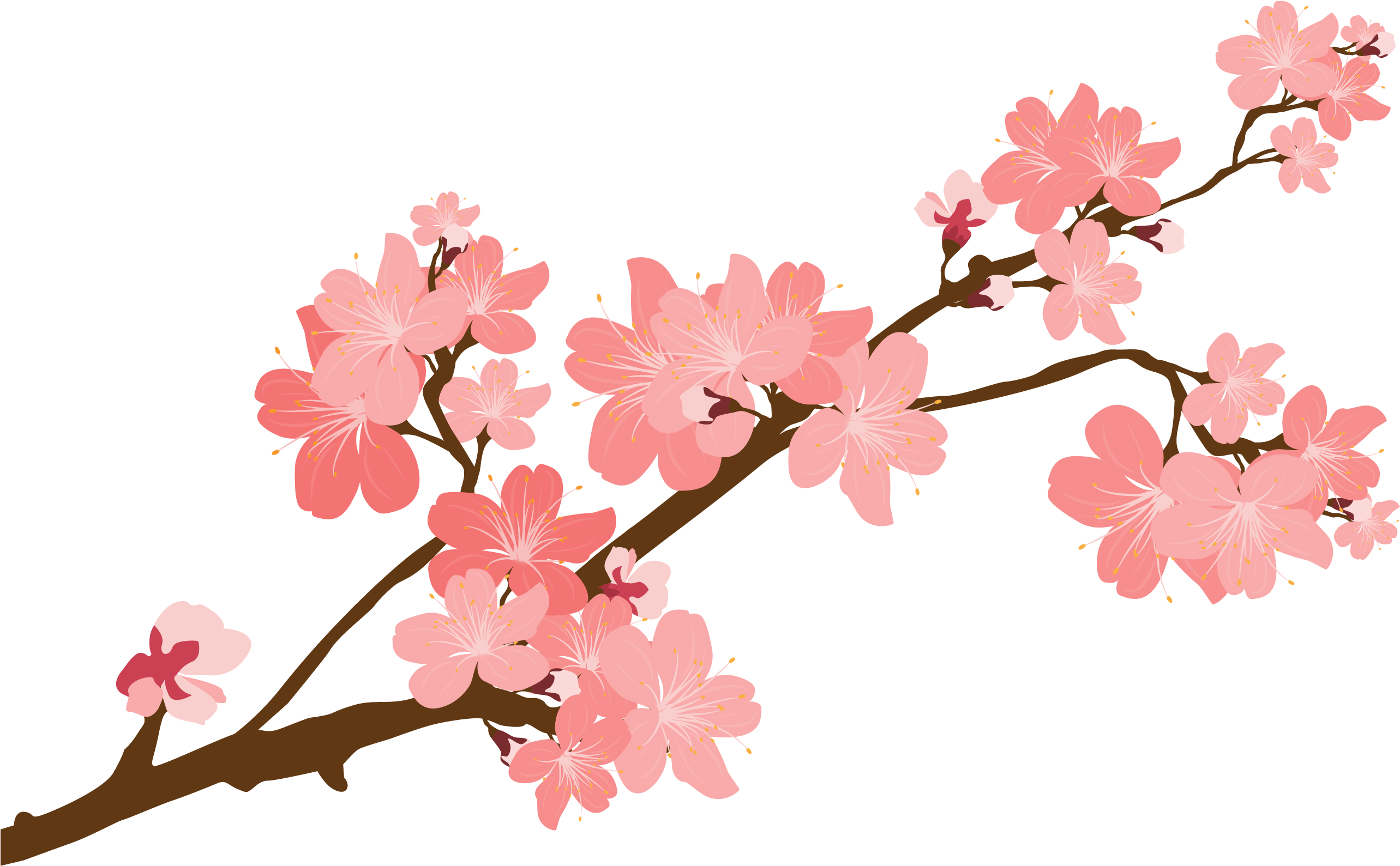 Blossom Flower Vector PNG Image High Quality PNG Image