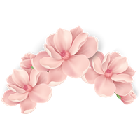 Download Flower Free PNG photo images and clipart | FreePNGImg
