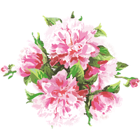 Pink Watercolor Flowers Vector Free Clipart HQ PNG