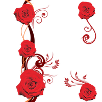 Vector Flowers Red Free Clipart HQ Transparent HQ PNG Download | FreePNGImg