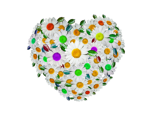 Heart Flower Free Photo PNG Image