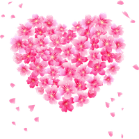 Download Heart Free PNG photo images and clipart | FreePNGImg