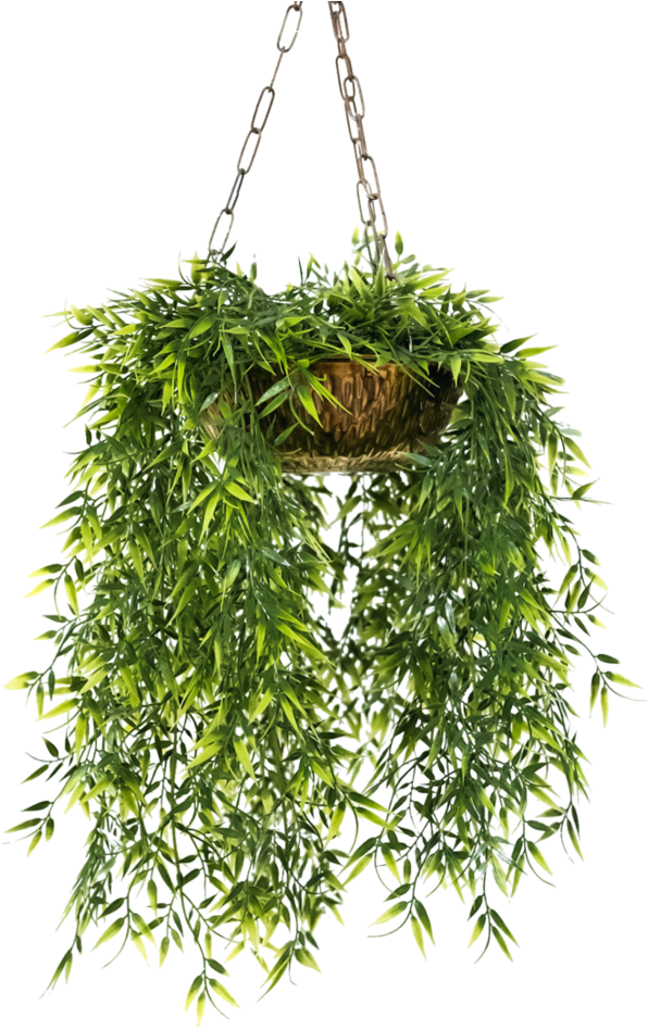 Pot Flower Hanging Free Clipart HD PNG Image