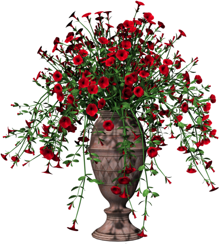 Home Pot Flower Free HD Image PNG Image