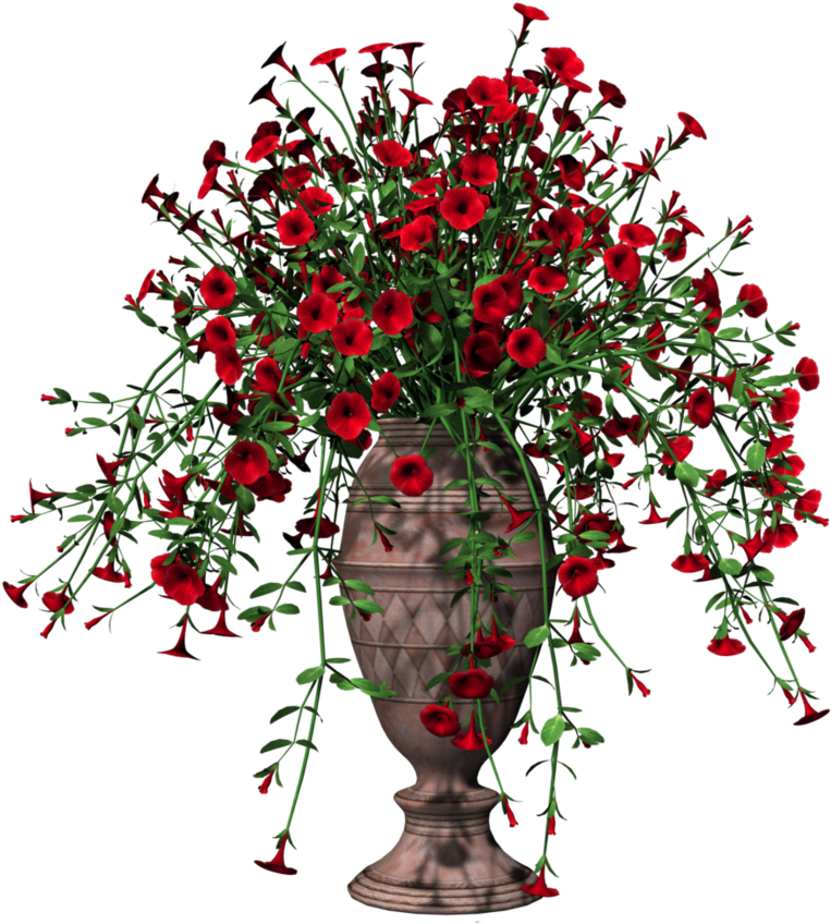 Home Pot Flower Free HD Image Transparent PNG Image