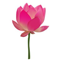 Lotus Flower Free HD Image Transparent HQ PNG Download | FreePNGimg