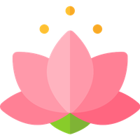 Pink Lotus Flower Photos Free Download PNG HQ Transparent PNG Image