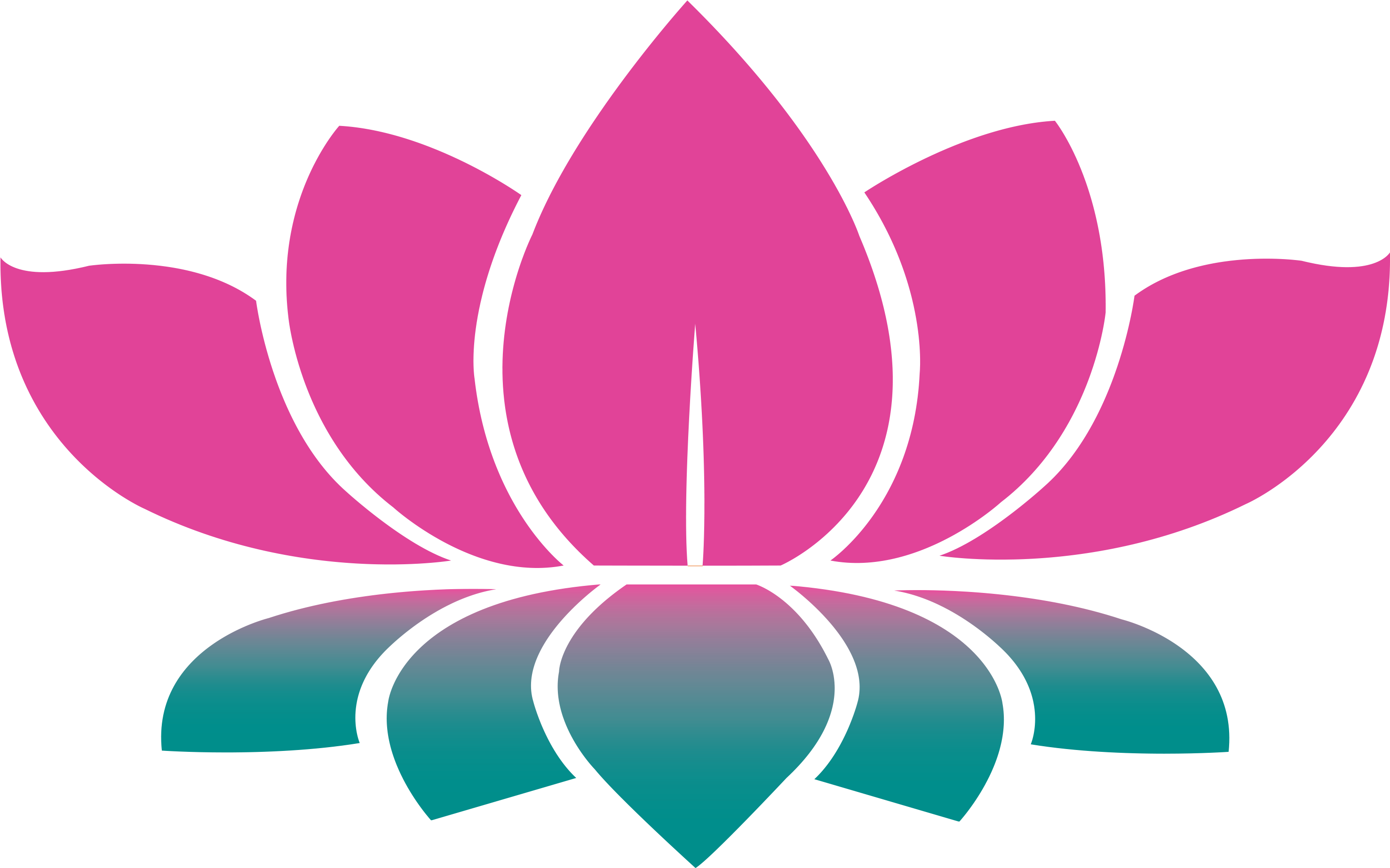 Lotus Photos Vector Flower Free Clipart HD PNG Image