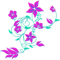 shiuli flower png clipart