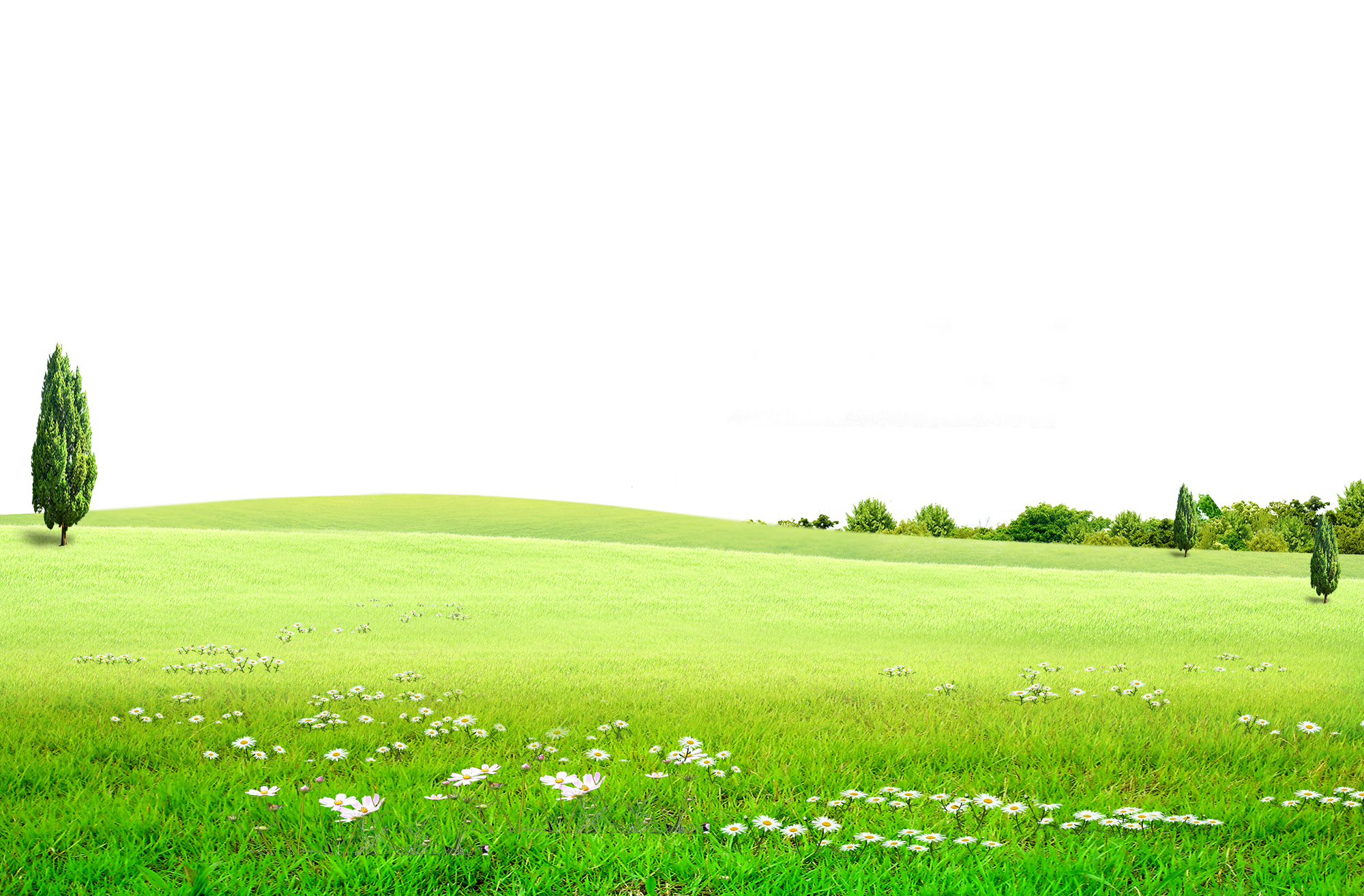 Meadow, Outdoor Nature, Flowers, Green Prairie, Tourism Transparent PNG Image