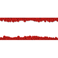 Rose Border Flower Beach Material Free Transparent Image HD PNG Image