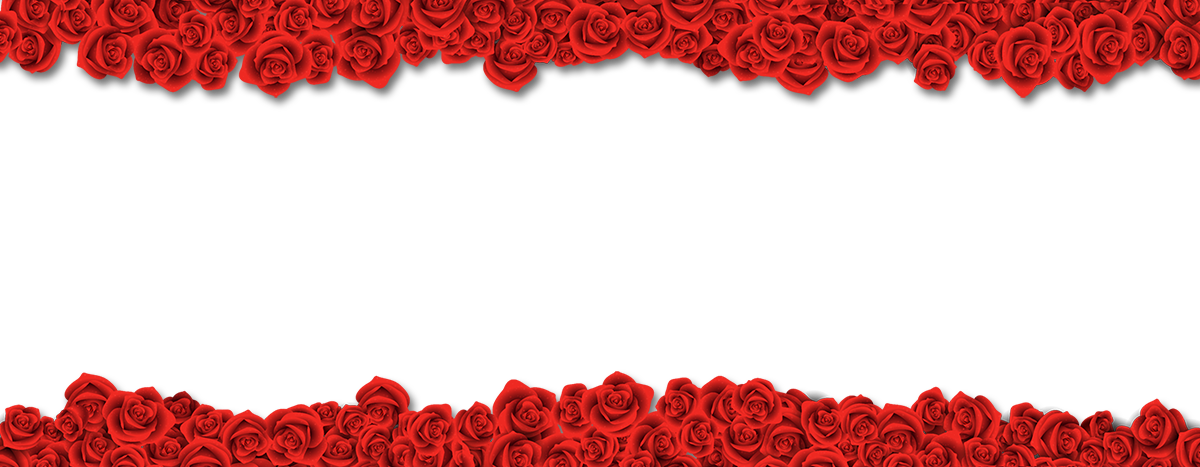 Rose Border Flower Beach Material Free Transparent Image HD PNG Image