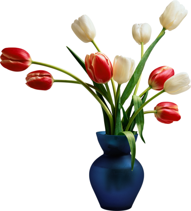 Blue Installation Package Tulips Vase Application Computer PNG Image