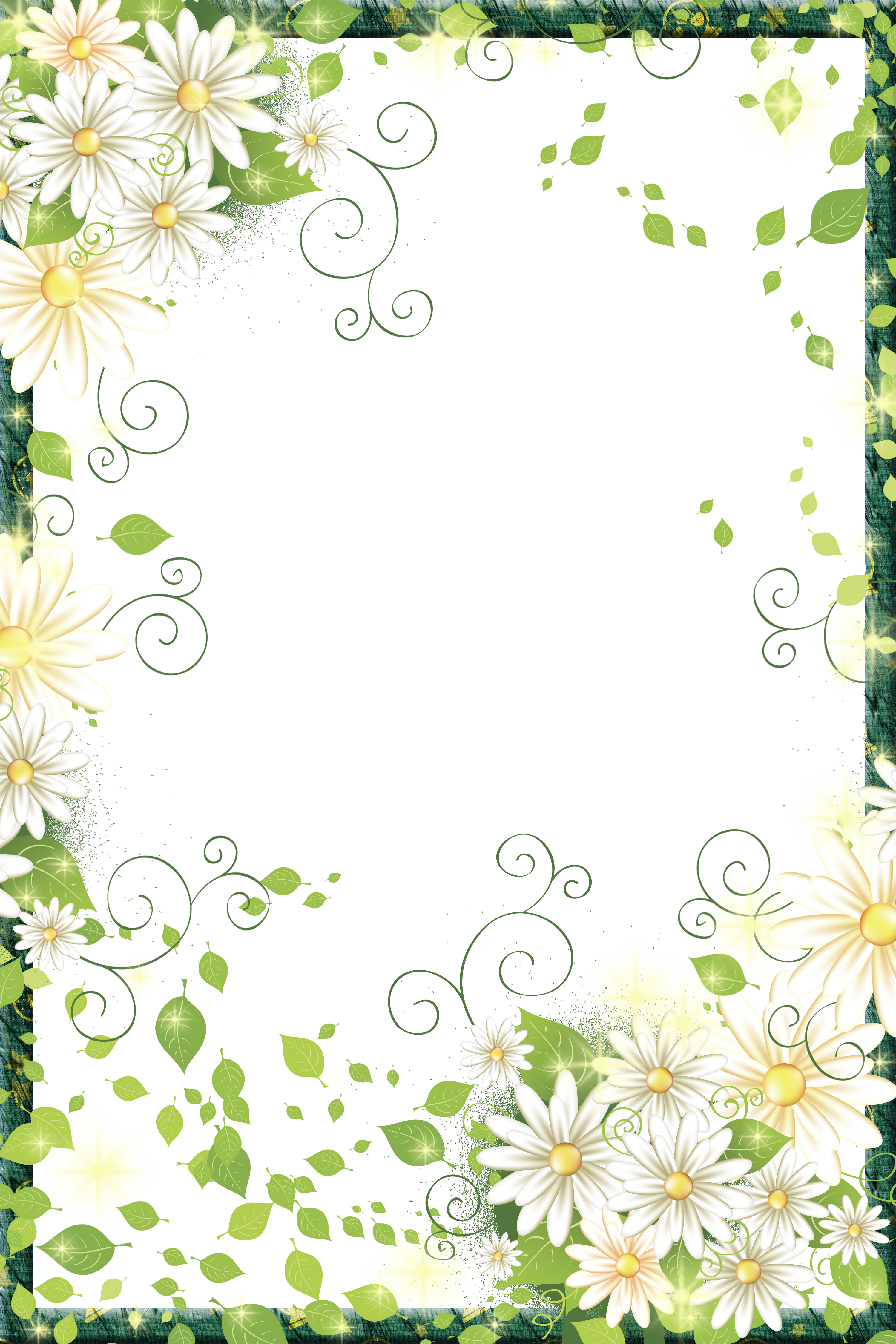 Beautiful Picture Frame Digital Flowers Border PNG Image