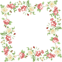 And Flower Portable Floral Design Graphics Frames Transparent PNG Image