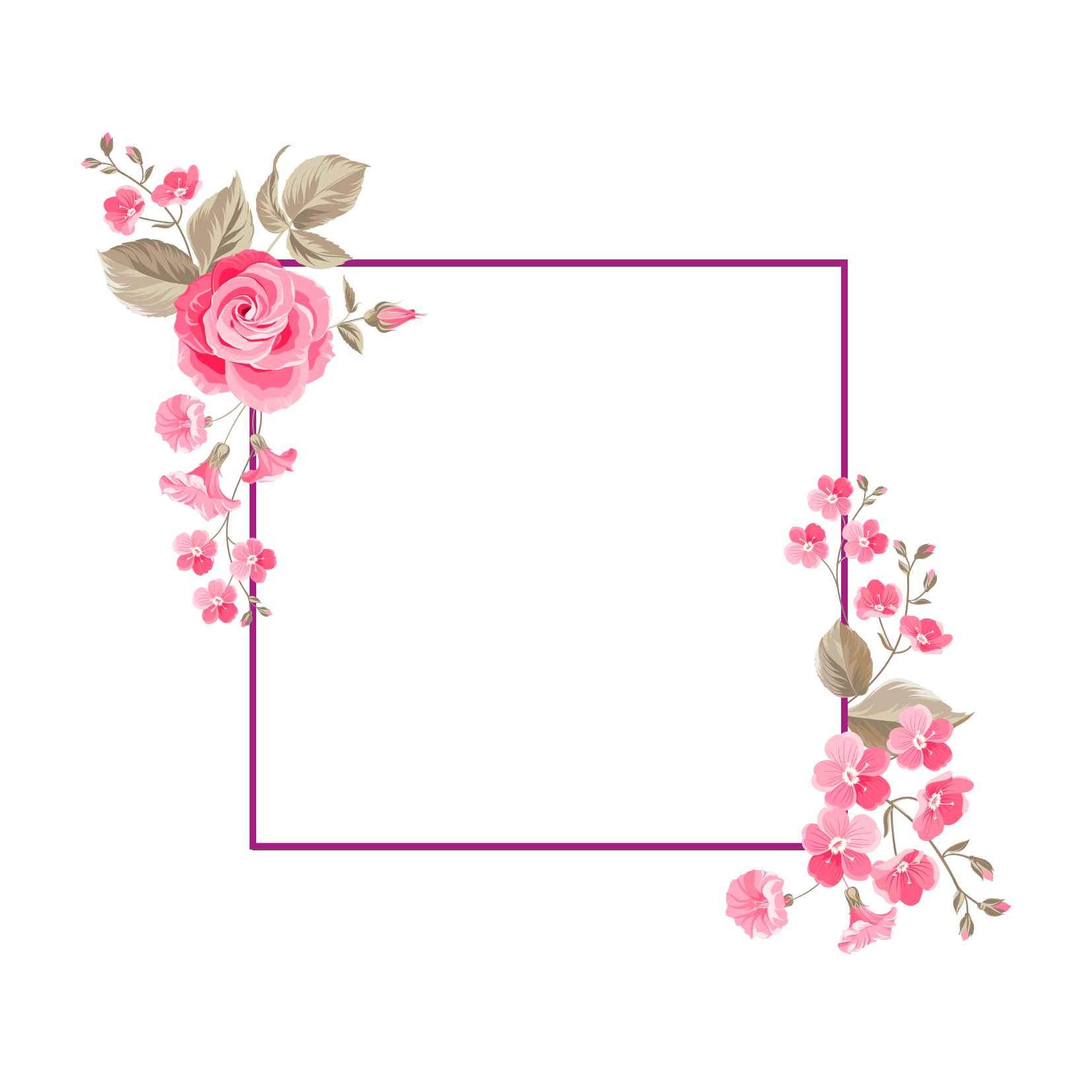 And Flower Portable Floral Vector Design Graphics PNG Image