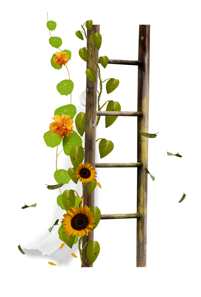 Flower Stairs Ladder Drawing Border Sticker PNG Image