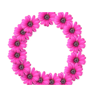 Download Flower Free PNG photo images and clipart | FreePNGImg