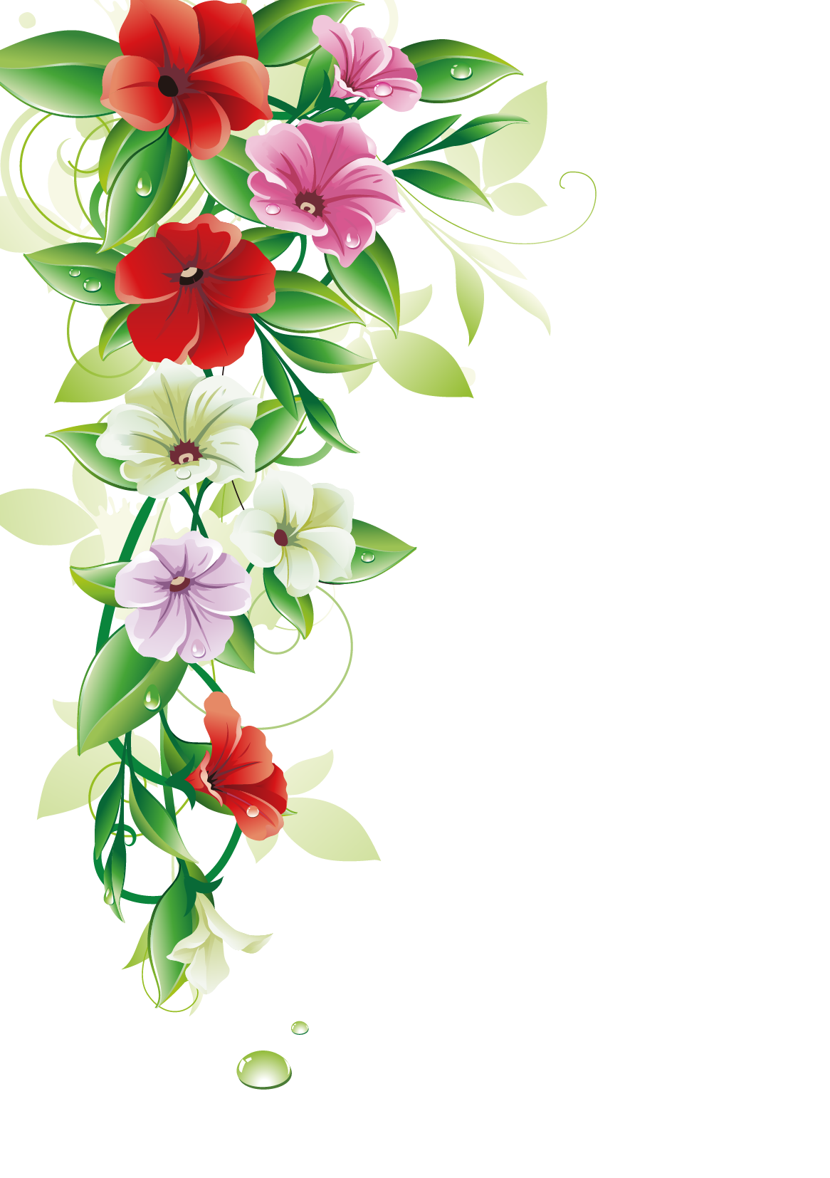 Flower Border Free Photo PNG PNG Image