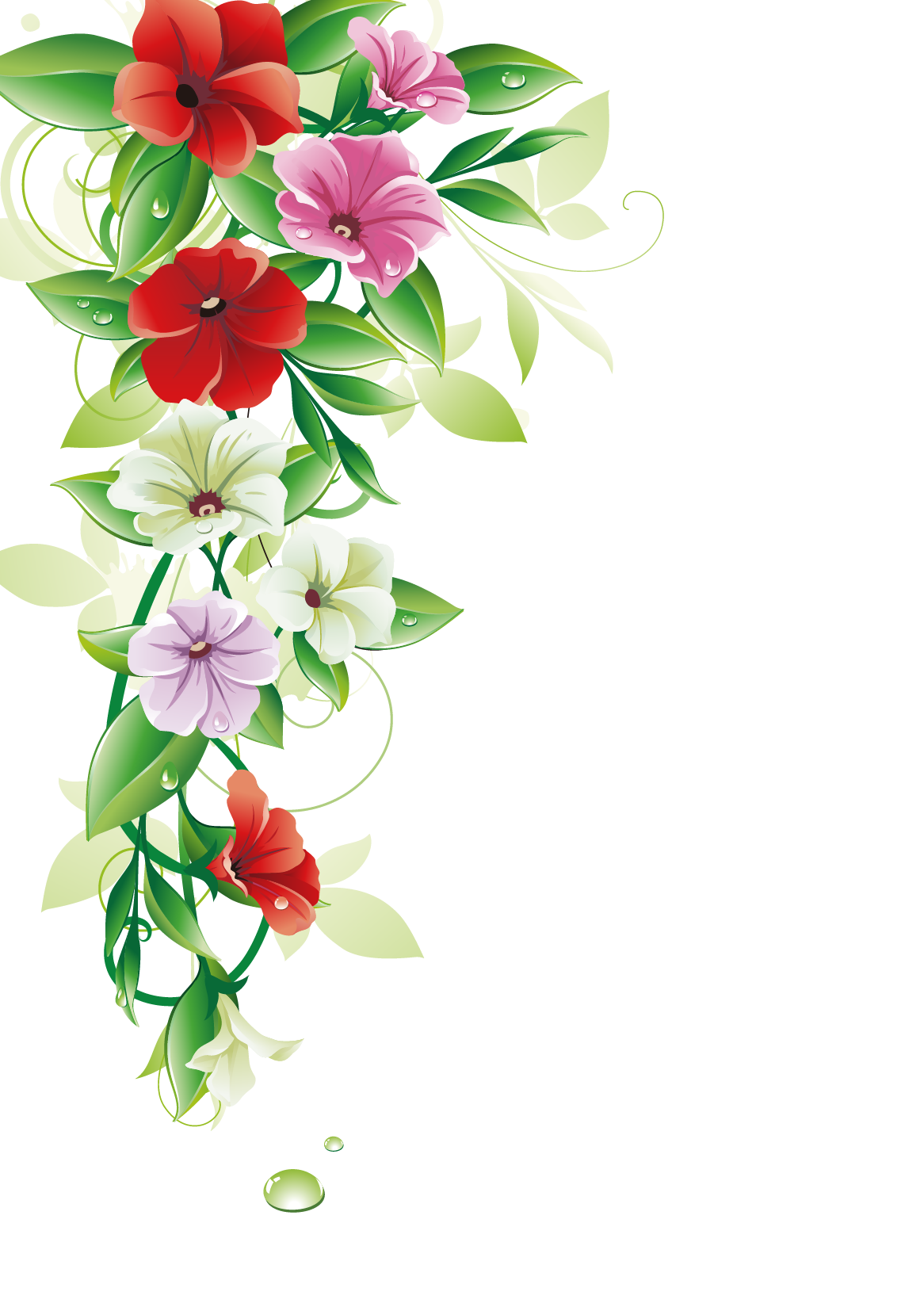 Free Flower Frame Png, Download Free Flower Frame Png Png Images, Free