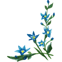 Download Artistic Free PNG photo images and clipart | FreePNGImg