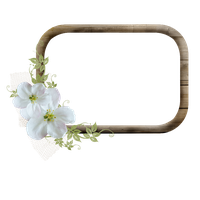 Plants Flower Border Creative Free HQ Image Transparent PNG Image