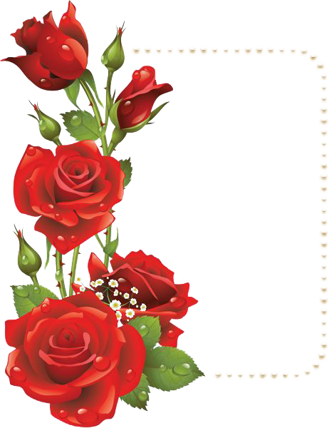 Picture Flower Rose Frame File Red PNG Image