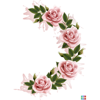 Download Flowering Plant Free Png Photo Images And Clipart Freepngimg