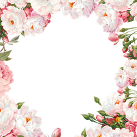Download Flower Box Free Png Photo Images And Clipart Freepngimg