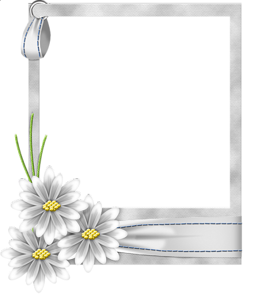 Picture Frame Flower White Transparent Free Photo PNG PNG Image