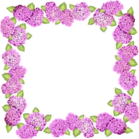 Purple Picture Frame Flower Free PNG HQ PNG
