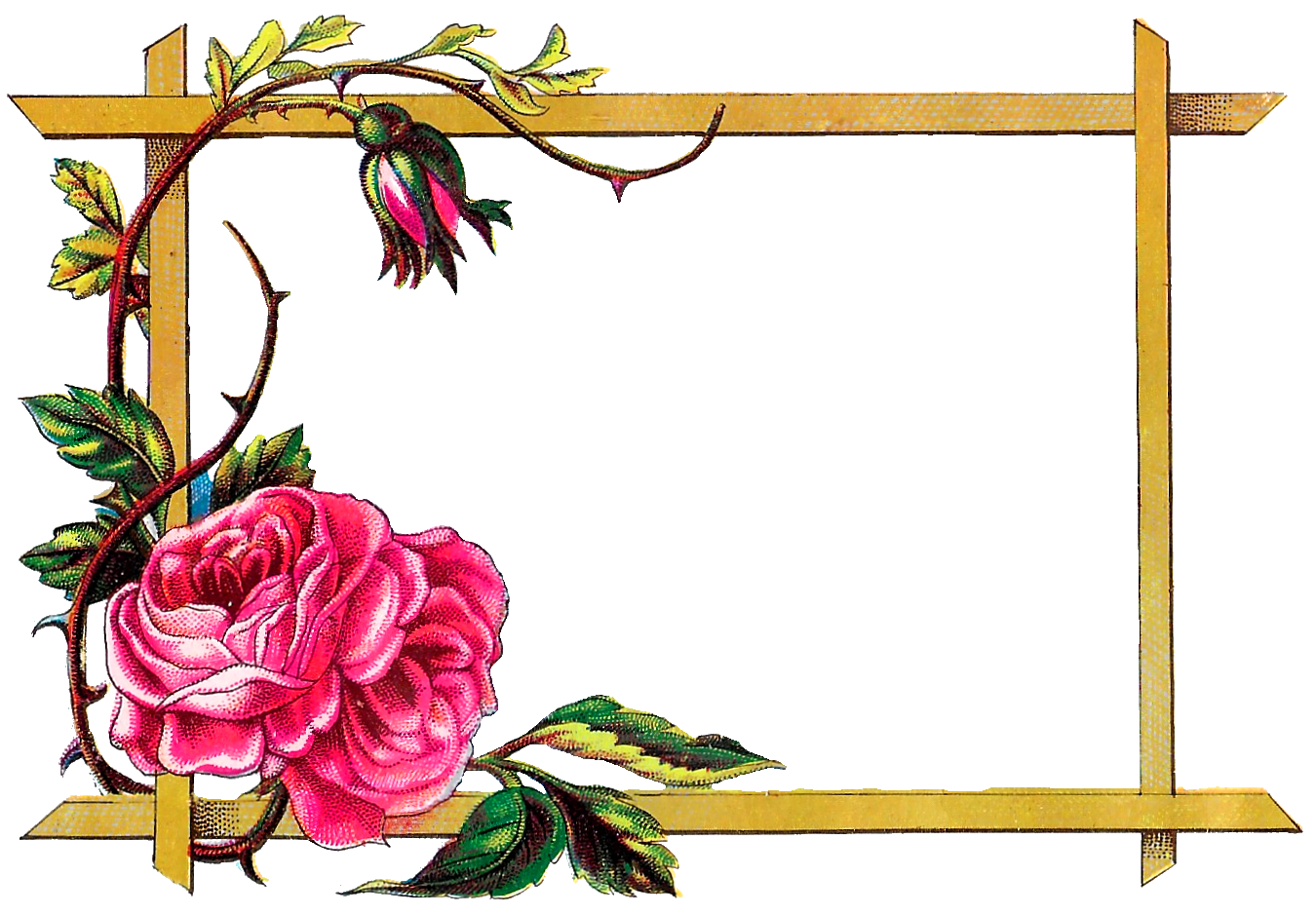 Frames Picture Frame Flower Art Free Photo PNG PNG Image
