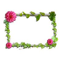 Pink Picture Flower Frame Frames Flowers PNG