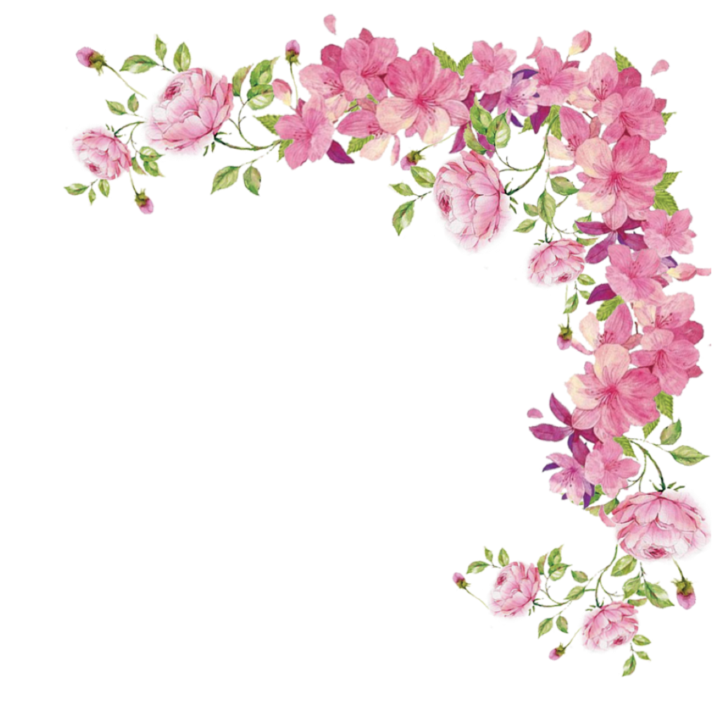 Pink Rose Flowers Border Flower Free Photo PNG PNG Image