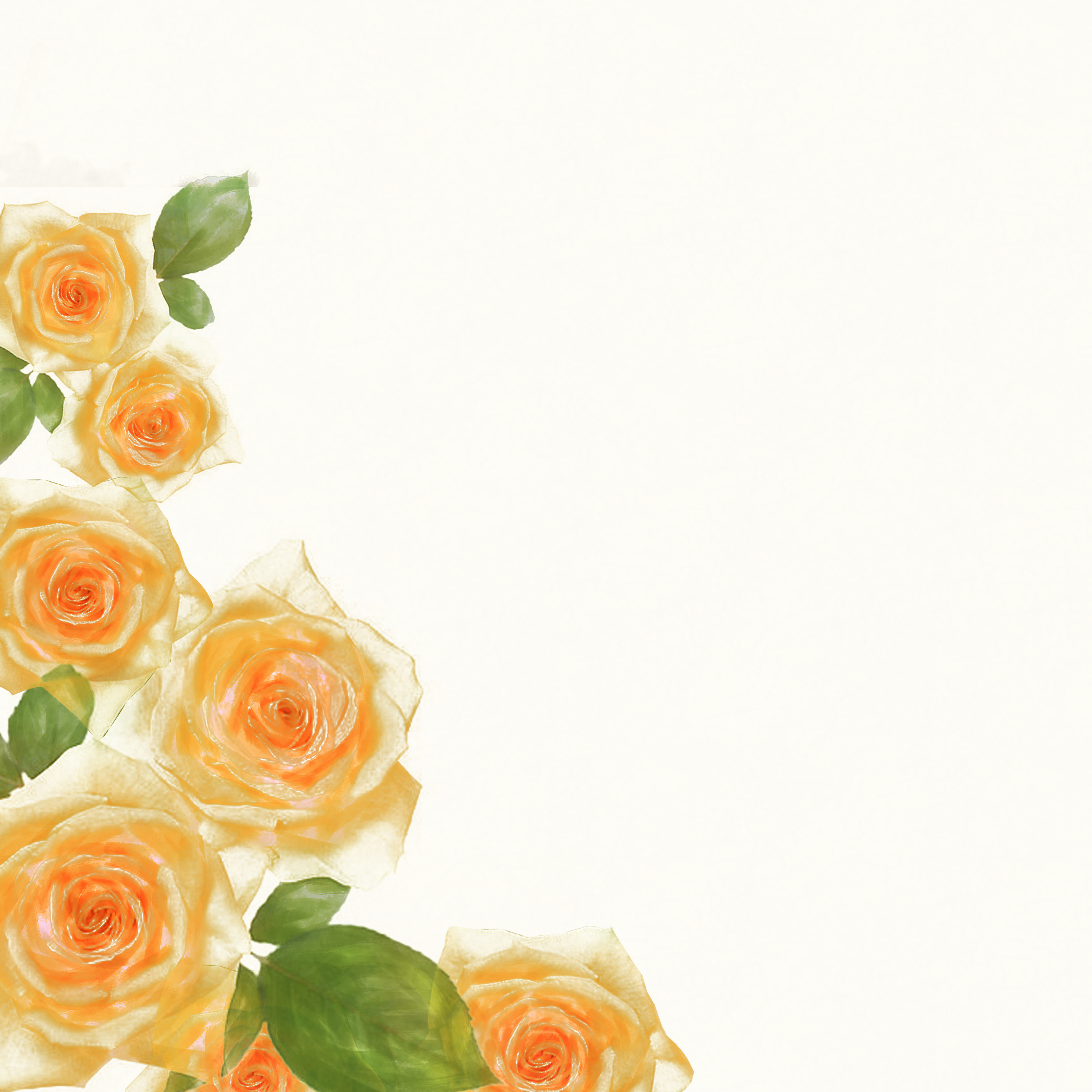 Watercolor Rose Border Floral Albums Download Free Image PNG Image