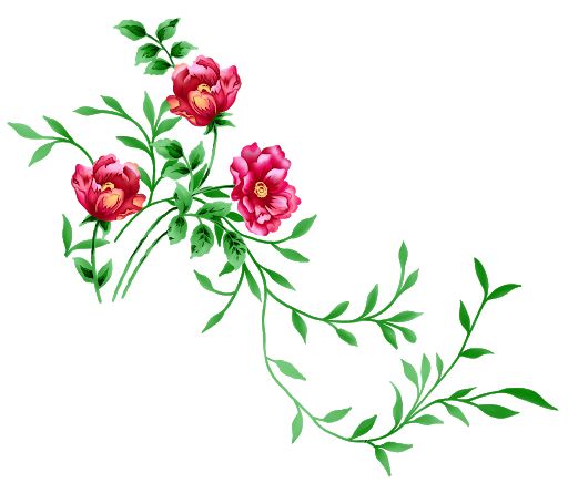 Vector Flower Artwork Download HD PNG Image