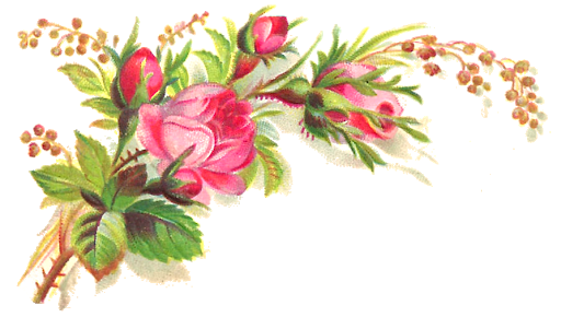 Vector Flower Artwork Free Download Image PNG Image
