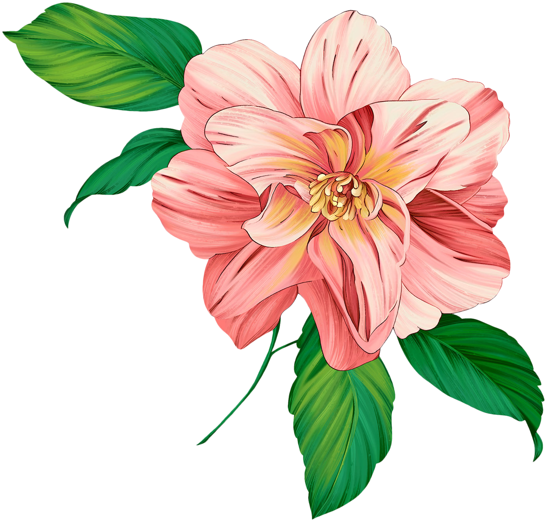 Flower Artwork Free Clipart HD PNG Image